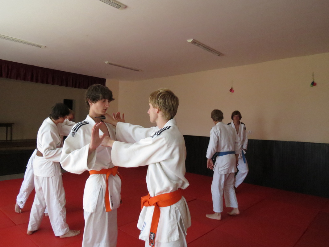 De judo en Jiu Jitsu groep van Taiyou, in de dojo in Gerde, Hongarije.